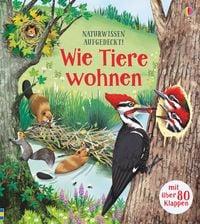 Produktbild: Naturwissen aufgedeckt! Wie Tiere wohnen