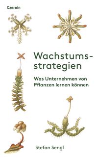 Produktbild: Wachstumsstrategien