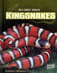 Produktbild: Kingsnakes