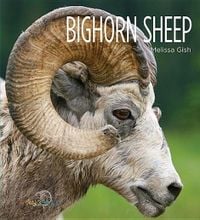 Produktbild: Bighorn Sheep
