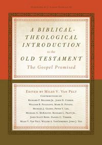Produktbild: A Biblical-Theological Introduction to the Old Testament