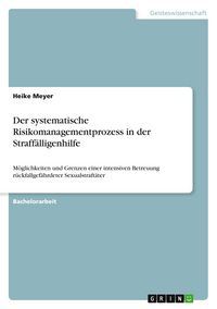 Produktbild: Der systematische Risikomanagementprozess in der Straff&auml;lligenhilfe