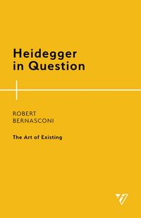 Produktbild: Heidegger in Question
