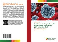 Produktbild: Avalia&ccedil;&atilde;o da fagocitose de macr&oacute;fagos infectados pelo v&iacute;rus da CAE
