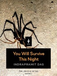 Produktbild: You Will Survive This Night
