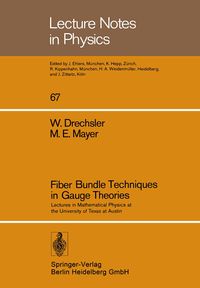 Produktbild: Fiber Bundle Techniques in Gauge Theories