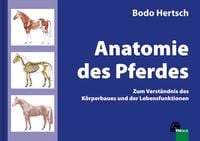 Bild vom Artikel Anatomie des Pferdes vom Autor Bodo Hertsch