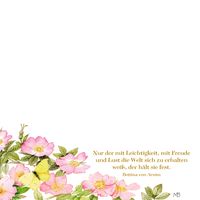 Zettelkästchen