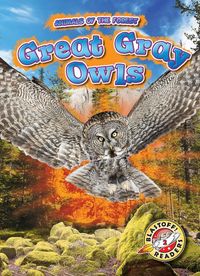 Produktbild: Great Gray Owls