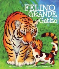 Produktbild: Felino Grande, Gatito