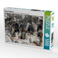 Produktbild: CALVENDO Puzzle D&uuml;lmener Wildpferde | 1000 Teile Lege-Gr&ouml;&szlig;e 64x48cm Foto-Puzzle f&uuml;r gl&uuml;ckliche Stunden
