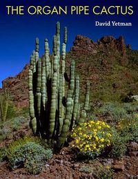 Produktbild: The Organ Pipe Cactus