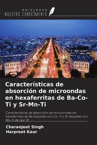 Produktbild: Caracter&iacute;sticas de absorci&oacute;n de microondas en hexaferritas de Ba-Co-Ti y Sr-Mn-Ti