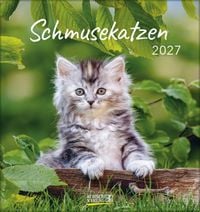 Produktbild: Schmusekatzen 2027