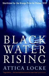 Bild vom Artikel Black Water Rising vom Autor Attica Locke