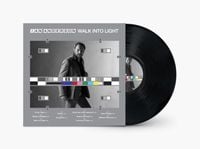 Produktbild: Walk Into Light, 1 Schallplatte (Black Vinyl/Half-Speed Master)