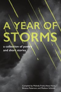 Produktbild: A Year of Storms