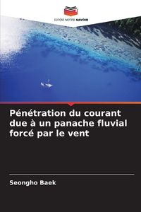 Produktbild: P&eacute;n&eacute;tration du courant due &agrave; un panache fluvial forc&eacute; par le vent