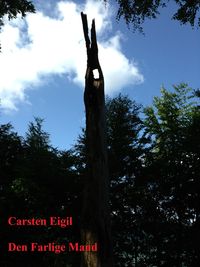 Produktbild: Den Farlige Mand