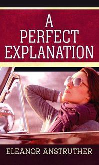 Produktbild: Perfect Explanation -Lp