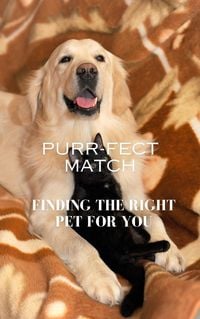 Produktbild: Purr-fect Match: Finding the Right Pet for You