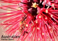 Produktbild: Australien - Vierter Band