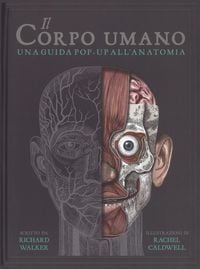 Produktbild: Il corpo umano. Una guida pop-up all'anatomia