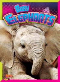 Produktbild: Baby Elephants