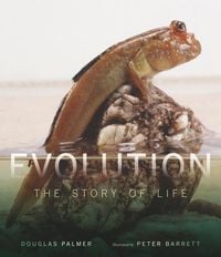 Produktbild: Evolution