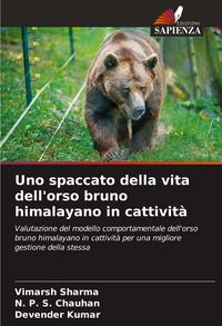 Produktbild: Uno spaccato della vita dell'orso bruno himalayano in cattivit&agrave;