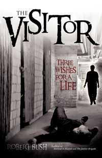 Produktbild: The Visitor