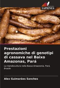 Produktbild: Prestazioni agronomiche di genotipi di cassava nel Baixo Amazonas, Par&aacute;