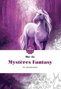 Produktbild: Myst&egrave;res fantasy : 50 coloriages