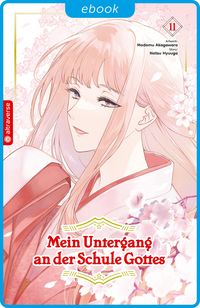 Produktbild: Mein Untergang an der Schule Gottes 11