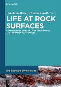 Produktbild: Life at Rock Surfaces
