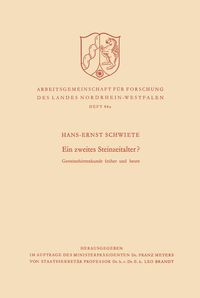 Produktbild: Ein zweites Steinzeitalter?