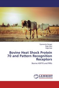 Produktbild: Bovine Heat Shock Protein 70 and Pattern Recognition Receptors