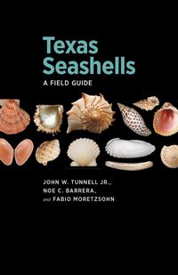 Produktbild: Texas Seashells