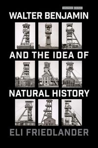 Produktbild: Walter Benjamin and the Idea of Natural History