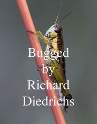 Produktbild: Bugged