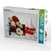 Produktbild: CALVENDO Puzzle Ragdoll K&auml;tzchen | 1000 Teile Lege-Gr&ouml;&szlig;e 64x48cm Foto-Puzzle f&uuml;r gl&uuml;ckliche Stunden