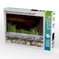Produktbild: CALVENDO Puzzle Getreide sprie&szlig;t auch auf dem Fenstersims, wenn der Wind mithilft | 1000 Teile Lege-Gr&ouml;&szlig;e 64x48cm Foto-Puzzle f&uuml;r gl&uuml;ckliche Stunden