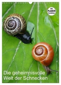 Produktbild: Die geheimnisvolle Welt der Schnecken (Wandkalender 2026 DIN A3 hoch), CALVENDO Monatskalender