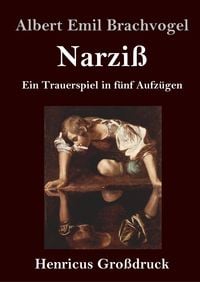 Bild vom Artikel Narziß (Großdruck) vom Autor Albert Emil Brachvogel