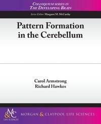 Produktbild: Pattern Formation in the Cerebellum