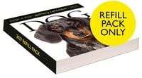 Produktbild: Dog Page-A-Day&reg; Gallery Calendar Refill Pack 2027