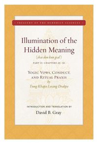 Produktbild: Illumination of the Hidden Meaning Vol. 2, 2: Yogic Vows, Conduct, and Ritual Praxis