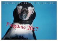 Produktbild: Pinguine 2027 (Tischkalender 2027 DIN A5 quer), CALVENDO Monatskalender