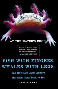 Produktbild: At the Water's Edge