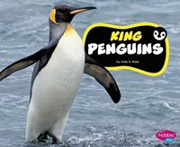 Produktbild: King Penguins